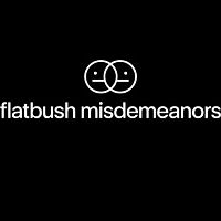 Flatbush Misdemeanors S01E07 XviD AFG TGx