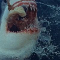 Cruel.Jaws.1995.EXTENDED.BDRIP.X264-WATCHABLE[TGx]