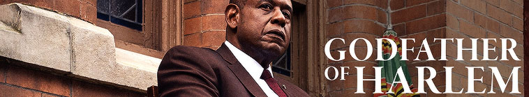 Godfather of Harlem S02E10 XviD AFG TGx