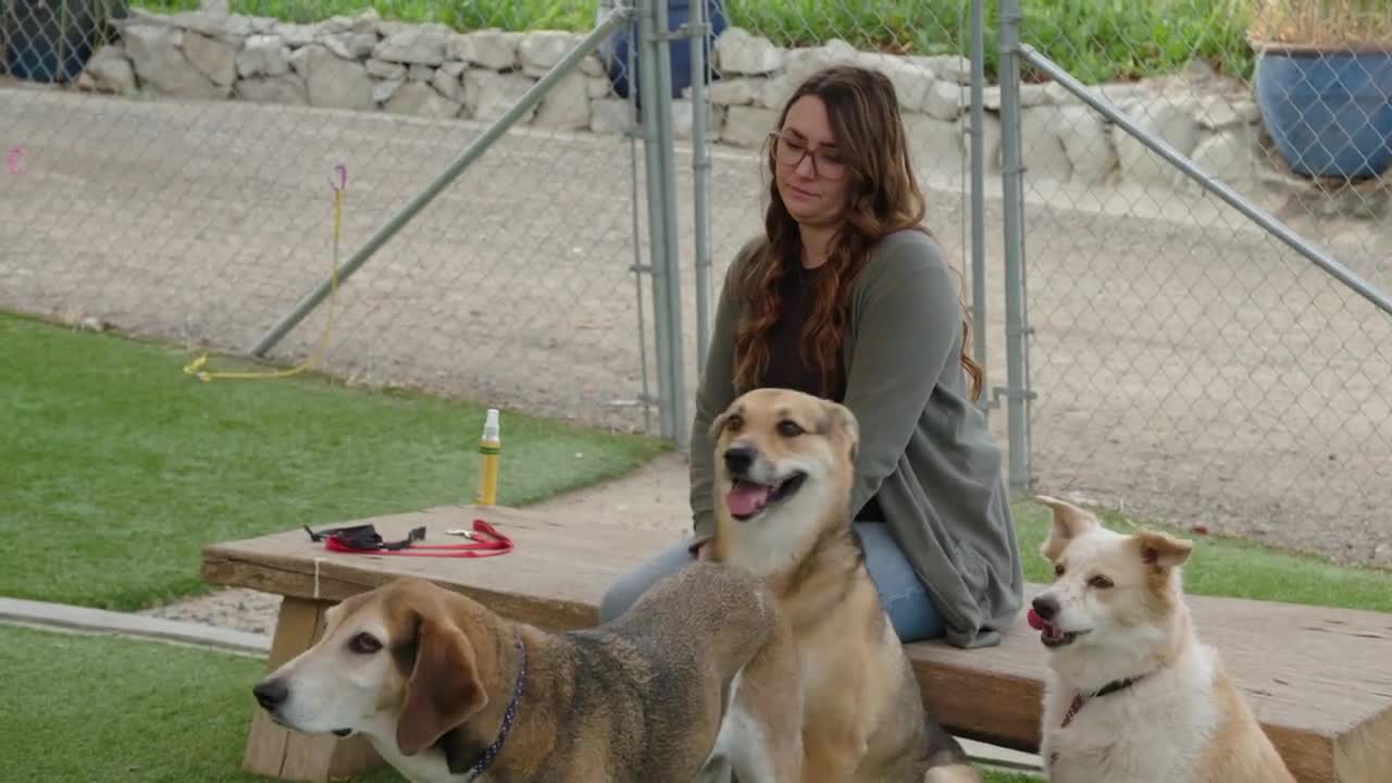 Cesar Millan Better Human Better Dog S01 COMPLETE 720p DSNP WEBRip x264 GalaxyTV