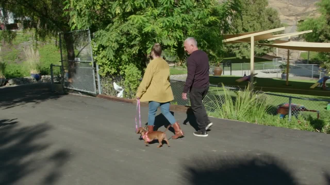 Cesar Millan Better Human Better Dog S01 COMPLETE 720p DSNP WEBRip x264 GalaxyTV