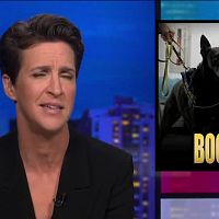 The Rachel Maddow Show 2021 09 10 540p WEBDL Anon TGx