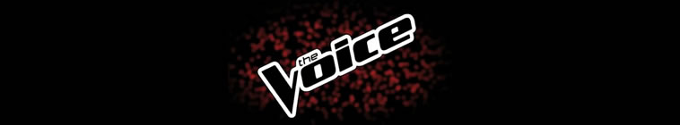 The Voice S21E03 XviD AFG TGx