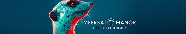 Meerkat Manor Rise of the Dynasty S01E12 Hell and High Water 720p AMZN WEBRip DDP5 1 x264 TEPES TGx