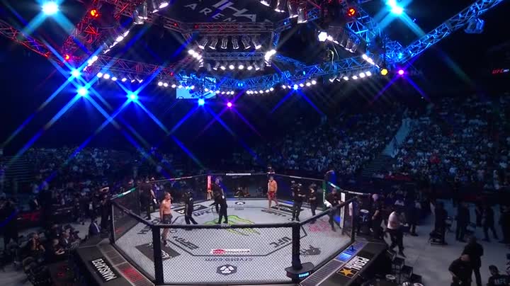 UFC 267 PPV Blachowicz vs Teixeira HDTV x264 PUNCH TGx