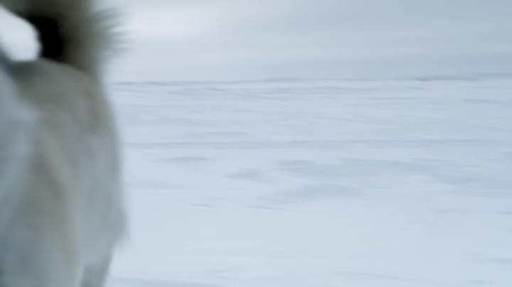 Bering Sea Gold S14E02 WEB x264 TORRENTGALAXY