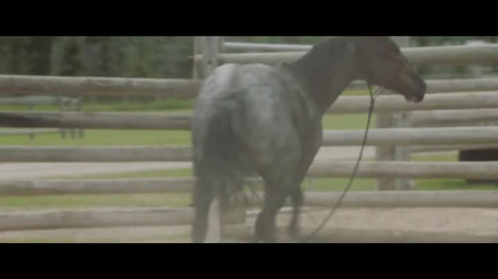 Heartland CA S15E09 WEBRip x264 TORRENTGALAXY