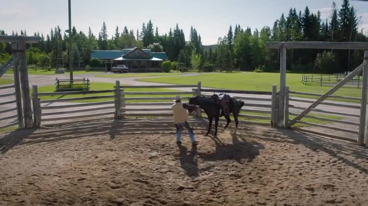 Heartland CA S15E09 WEBRip x264 TORRENTGALAXY