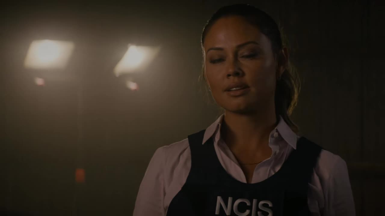 NCIS Hawaii S01E10 720p WEB x265 MiNX TGx