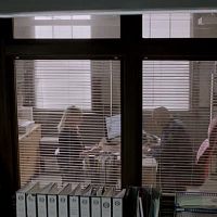 The.Brokenwood.Mysteries.S04E01.WEB.x264-PHOENiX