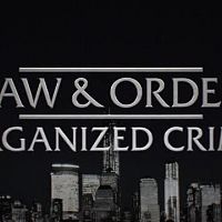Law.and.Order.Organized.Crime.S02E13.XviD-AFG[TGx]
