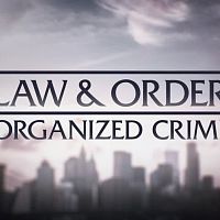 Law.and.Order.Organized.Crime.S02E14.720p.WEB.H264-DEXTEROUS[TGx]