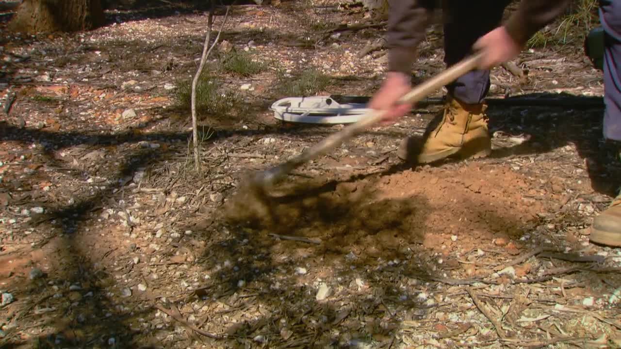 Aussie Gold Hunters S07E09 720p WEB h264 B2B TGx