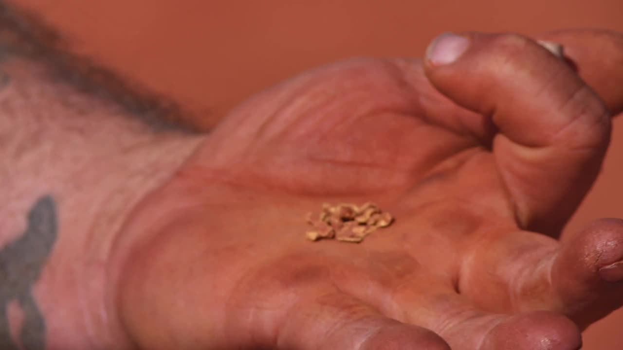 Aussie Gold Hunters S07E09 720p WEB h264 B2B TGx