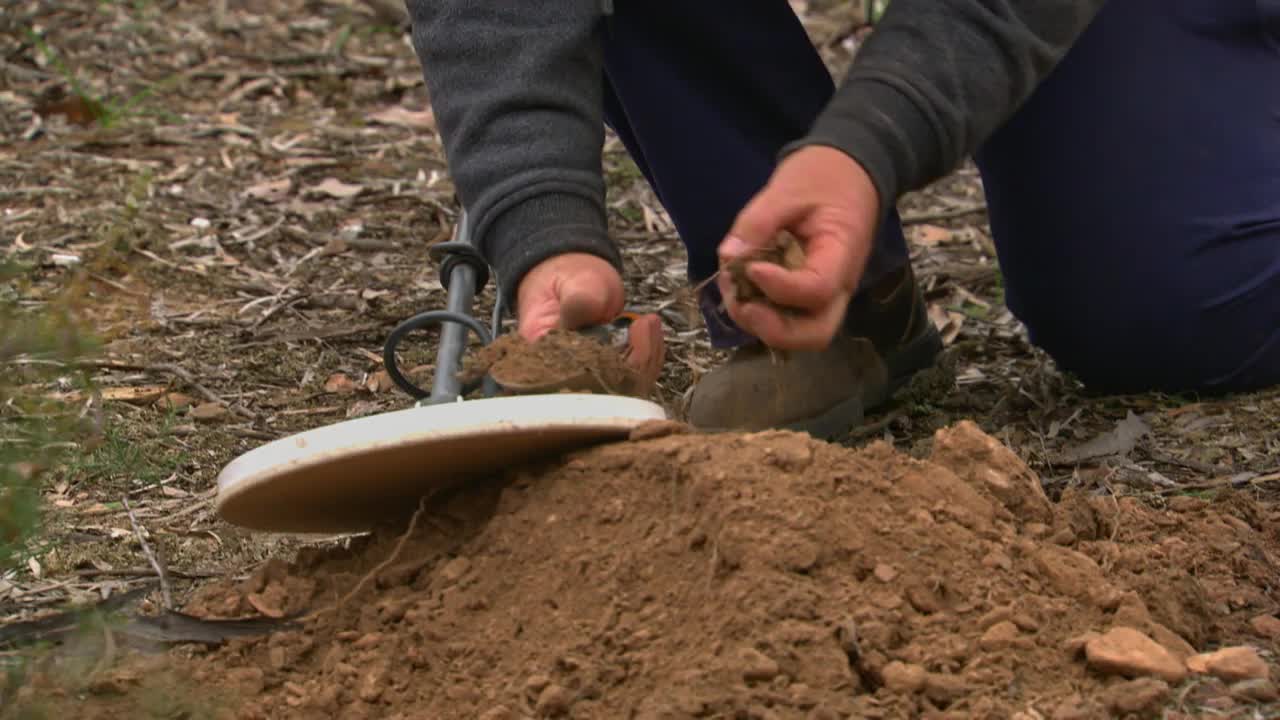 Aussie Gold Hunters S07E09 720p WEB h264 B2B TGx