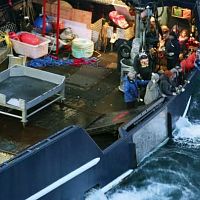 Deadliest.Catch.S00E74.WEBRip.x264-PHOENiX