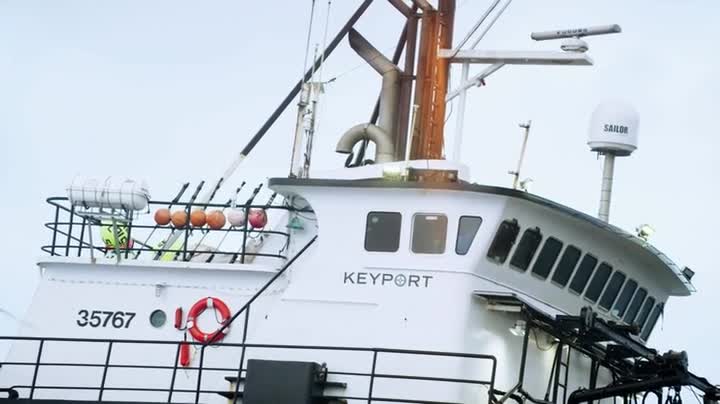 Deadliest Catch S18E02 WEB x264 TORRENTGALAXY