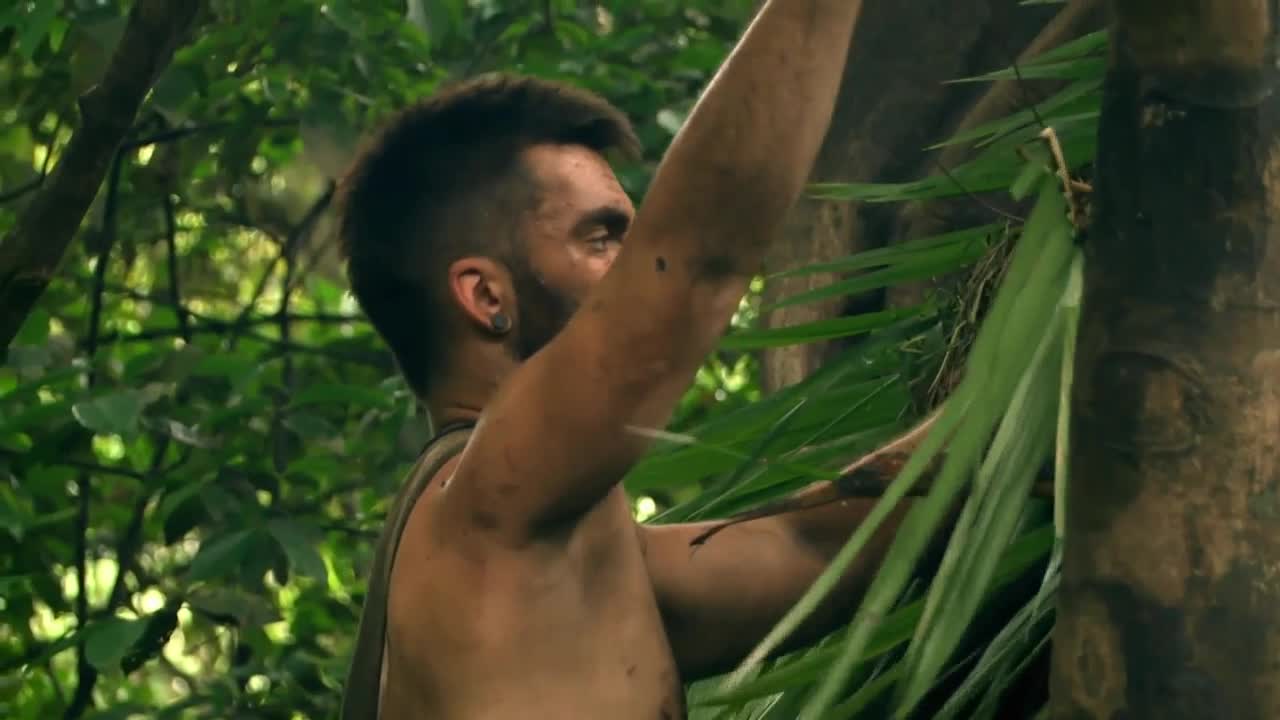 Naked and Afraid XL S08E02 720p WEB h264 BAE TGx