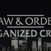 Law.And.Order.Organized.Crime.S02E21.1080p.WEB.h264-GOSSIP[TGx]