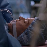 Greys Anatomy S18E19 Out for Blood 1080p AMZN WEBRip DDP5 1 x264 NTb TGx