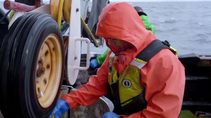 Deadliest Catch S18E07 WEB x264 TORRENTGALAXY