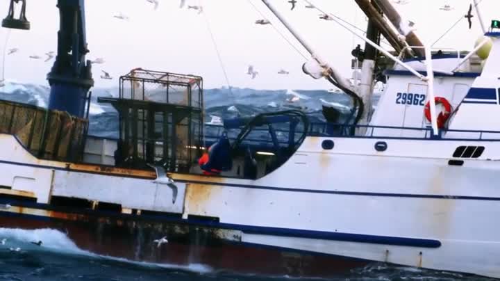 Deadliest Catch S18E14 WEB x264 TORRENTGALAXY