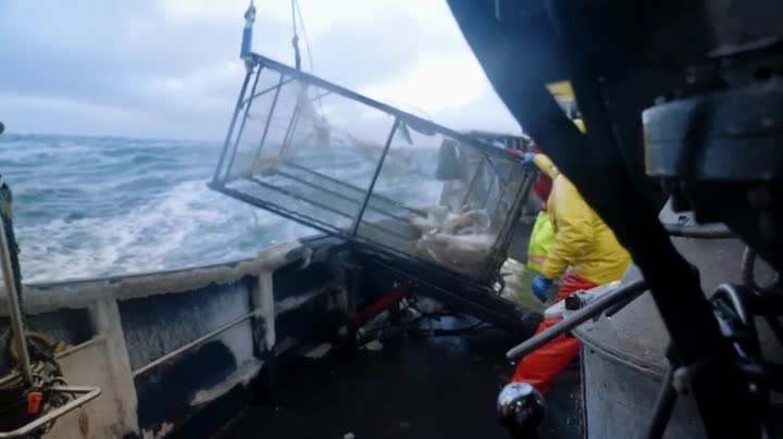 Deadliest Catch S18E15 WEB x264 TORRENTGALAXY