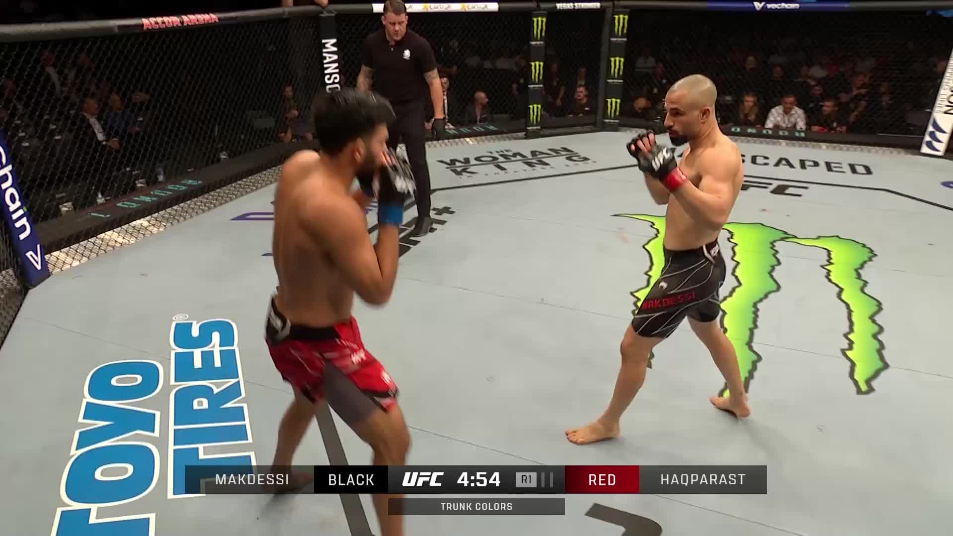 UFC Fight Night 209 Gane vs Tuivasa Prelims 1080p WEB DL H264 Fight BB