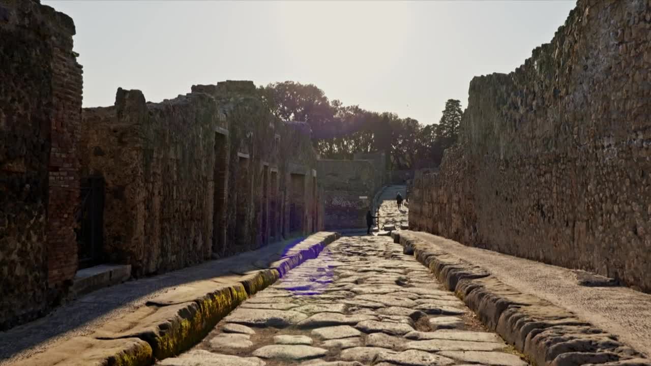 Secrets of the Dead S20E02 Last Days of Pompeii 720p WEB h264 BAE TGx