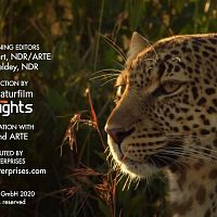 The Leopardess S01E01 1080p HDTV H264 CBFM TGx