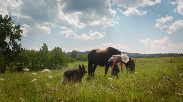 Heartland CA S16E05 WEBRip x264 TORRENTGALAXY