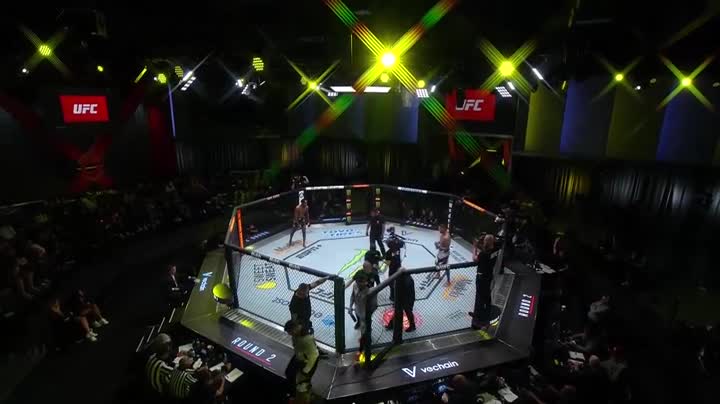 UFC Fight Night 214 Rodriguez vs Lemos WEB x264 PUNCH TGx