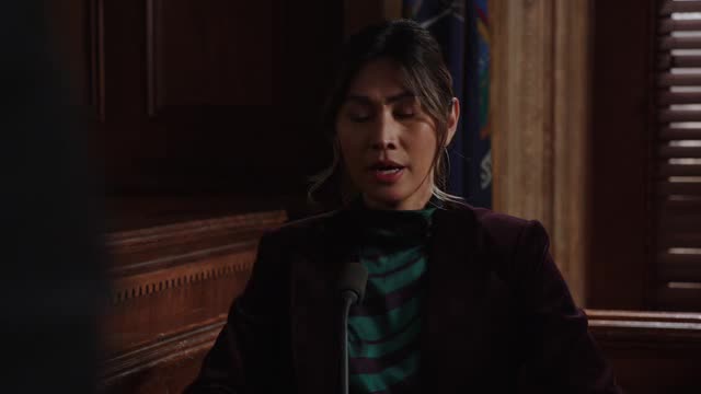 Law and Order SVU S24E08 XviD AFG TGx