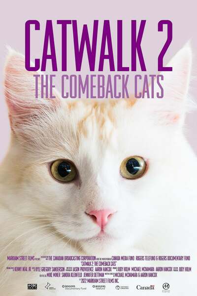 Catwalk 2 The Comeback Cats 2022 720p WEBRip 400MB x264 GalaxyRG