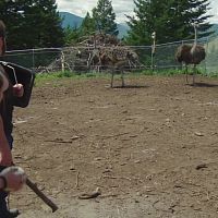 Alaskan Bush People S14E00 Heart and Soul of the Pack 720p WEB DL AAC2 0 H264 BTN TGx