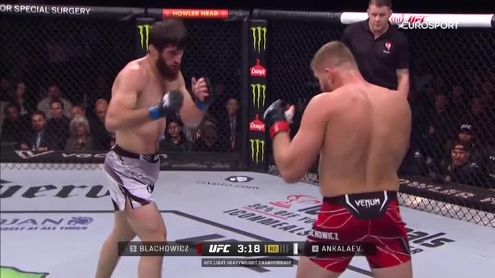 UFC 282 PPV Blachowicz vs Ankalaev HDTV x264 PUNCH TGx