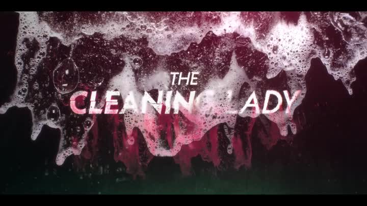 The Cleaning Lady S02E11 WEB x264 TORRENTGALAXY