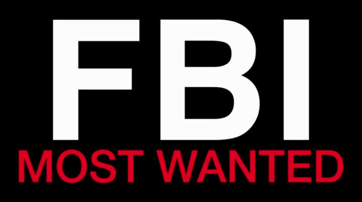 FBI Most Wanted S04E08 HDTV x264 TORRENTGALAXY