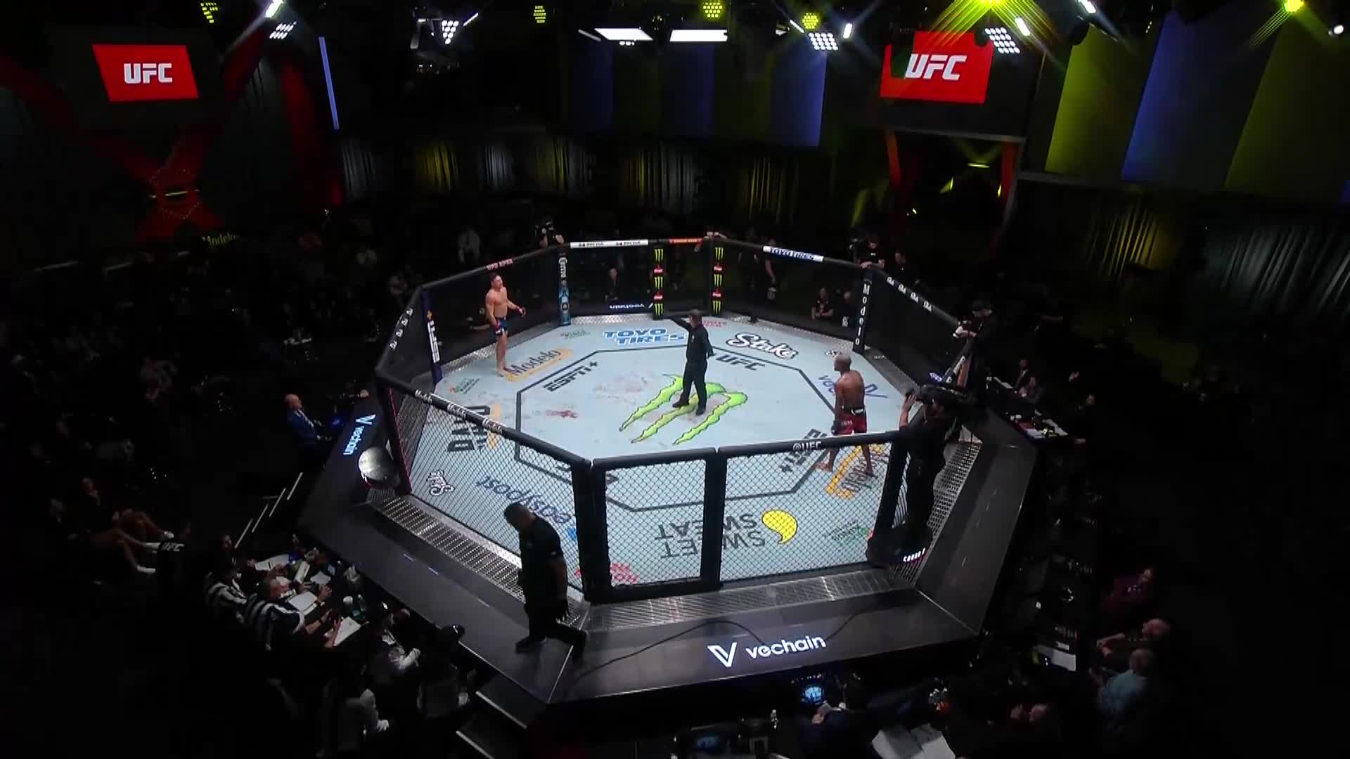 UFC Fight Night 216 Cannonier vs Strickland 1080p WEB DL H264 SHREDDiE TGx