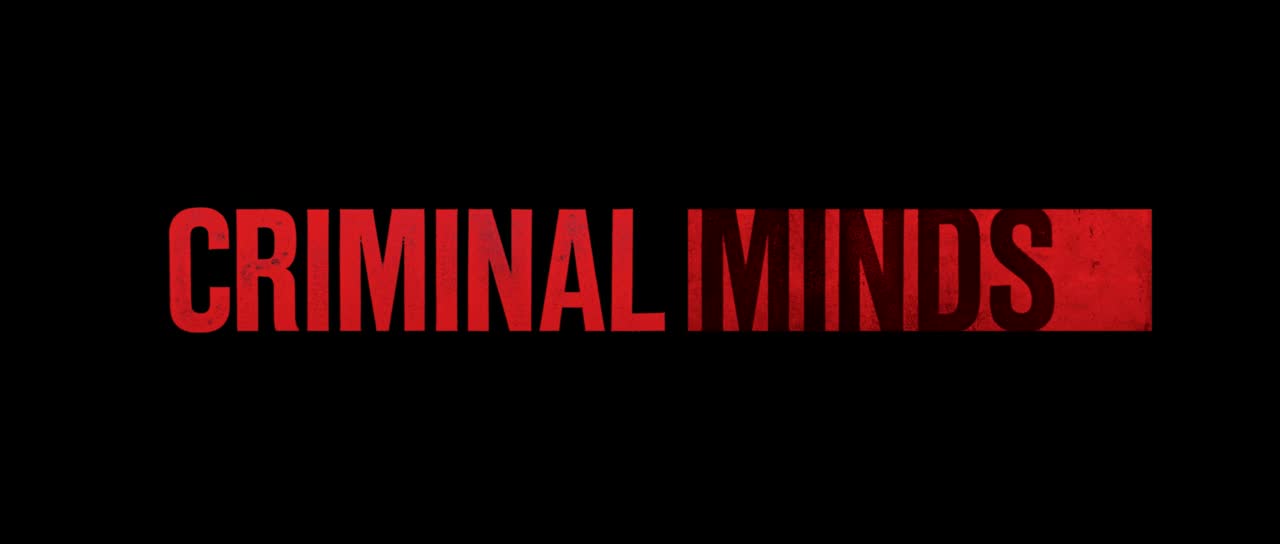 Criminal Minds S16E10 Dead End 720p AMZN WEBRip DDP5 1 x264 NTb TGx