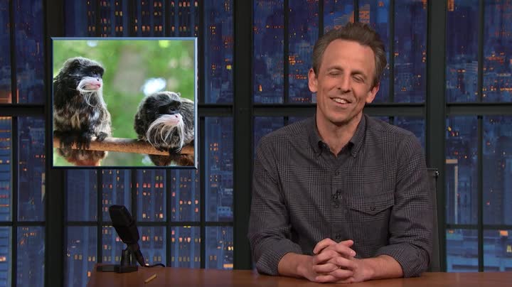 Seth Meyers 2023 02 09 WEB x264 TORRENTGALAXY