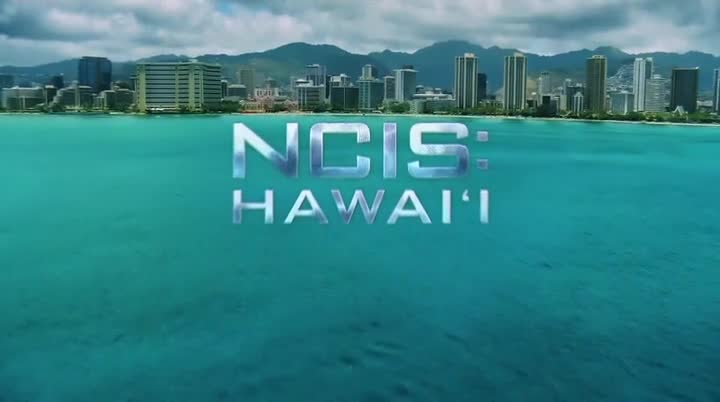 NCIS Hawaii S02E14 HDTV x264 TORRENTGALAXY