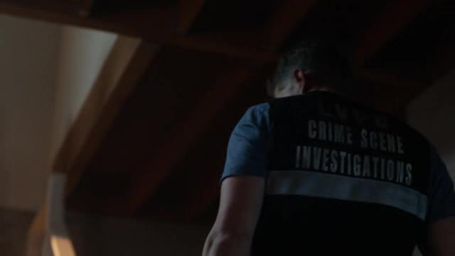 CSI Vegas S02E14 XviD AFG TGx
