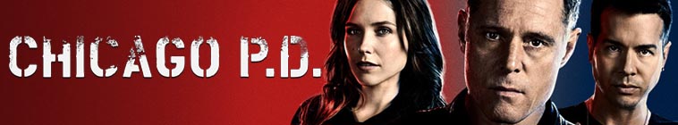 Chicago PD S10E13 The Ghost in You 1080p AMZN WEBRip DDP5 1 x264 KiNGS TGx