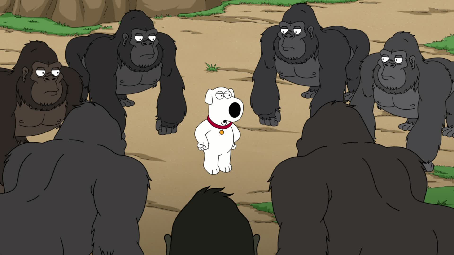 Family Guy S21E15 Adoptation 1080p DSNP WEBRip DDP5 1 x264 NTb TGx