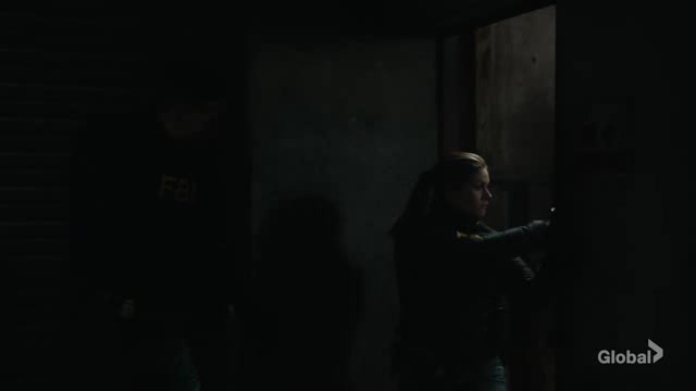 FBI S05E18 XviD AFG TGx