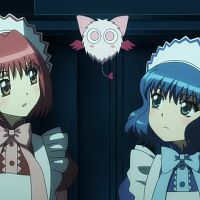 Tokyo Mew Mew New 2nd Season 04 480p 7E6D3190 Erai raws TGx