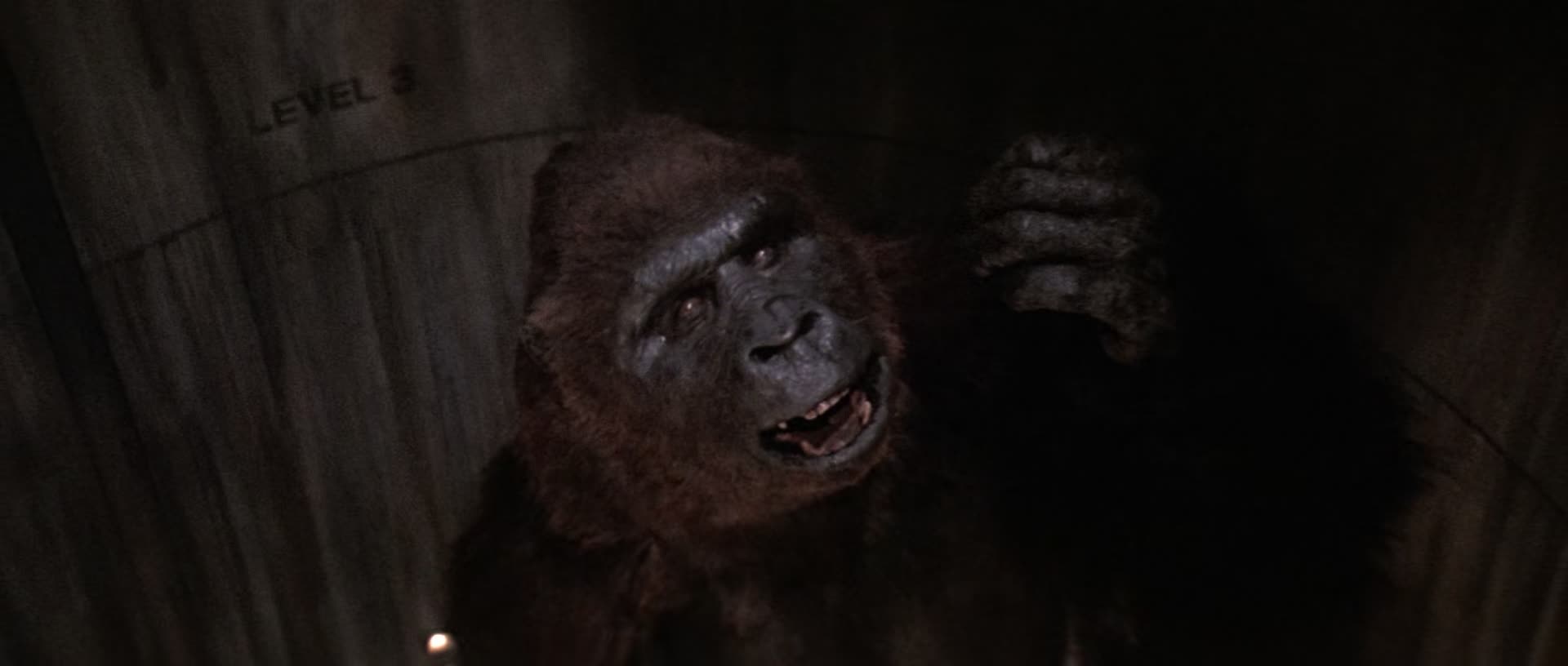 King Kong Lives 1986 1080p BluRay x265 RARBG TGx