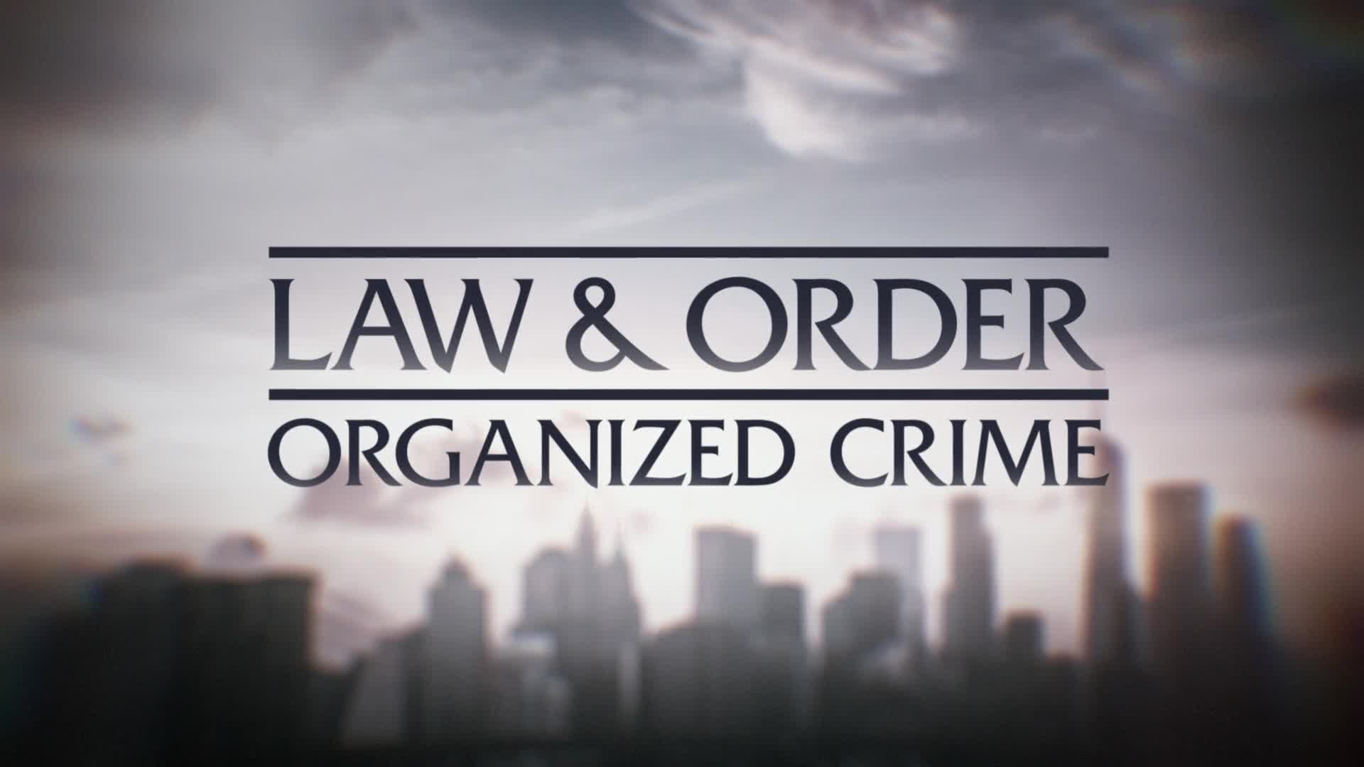 Law and Order Organized Crime S03E20 Pareto Principle 1080p AMZN WEBRip DDP5 1 x264 NTb TGx