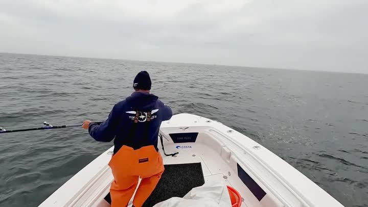 Wicked Tuna S12E12 WEB x264 TORRENTGALAXY